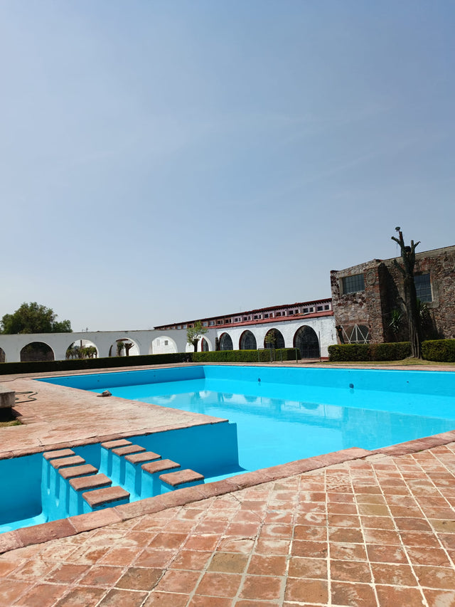 Mesa Zona pool